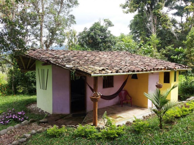 Finca-El-Maco-San-Agustin-Colombia (2)